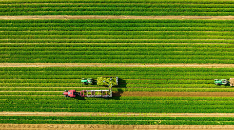 Grandissez avec nous !