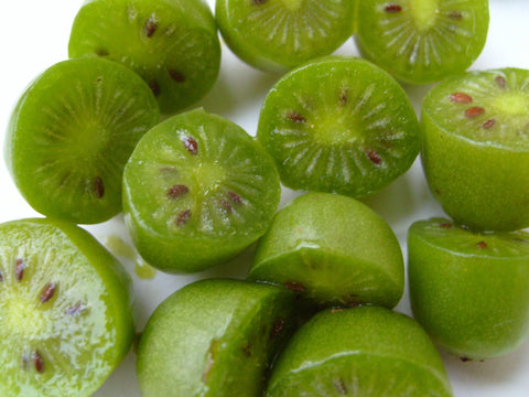 Issai - Kiwi Plant