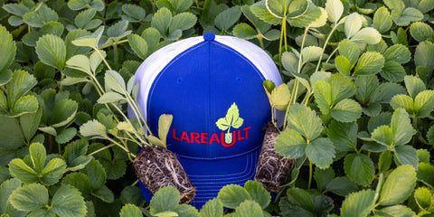 Bienvenue chez Production Lareault Inc !