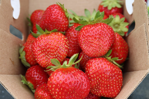 Murano - Strawberry Bare Root Plant
