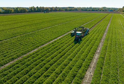 YOUR 2027 HARVEST STARTS HERE.