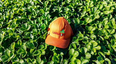 Canada's largest berry & small fruit plant nursery!