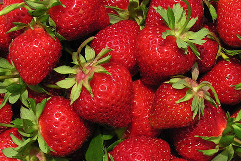 AC St-Pierre - Strawberry Bare Root Plant