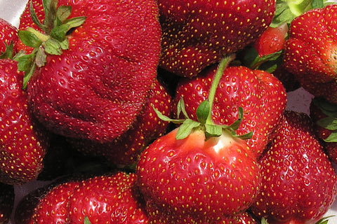 Cabot - Strawberry Bare Root Plant