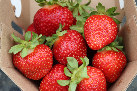 Beauty - Strawberry Bare Root Plant