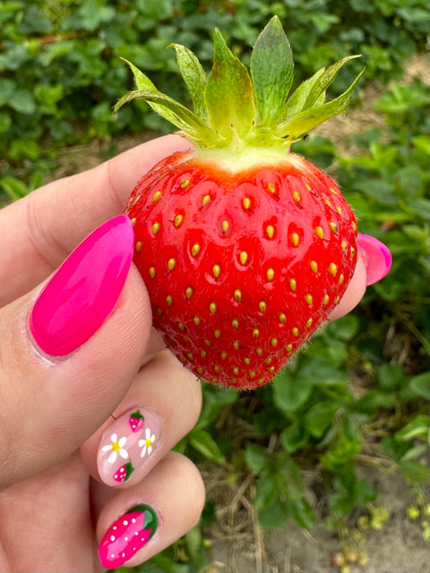 Keepsake - Strawberry Bare Root Plant