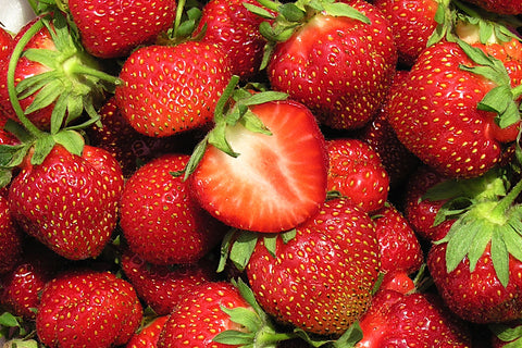 Kent - Strawberry Bare Root Plant