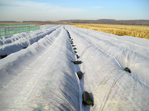 Row Bag with handle for Row Cover