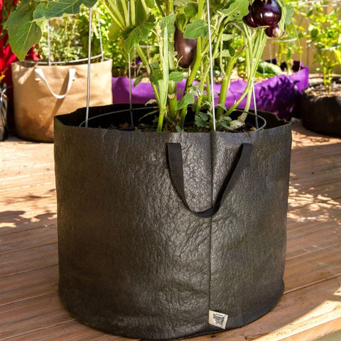 Smart Pot Container with handles